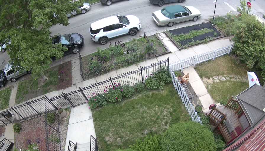 Reolink Camera One_00_Reolink Home Hub One_20260521074754.jpg